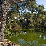 Parc Pastré