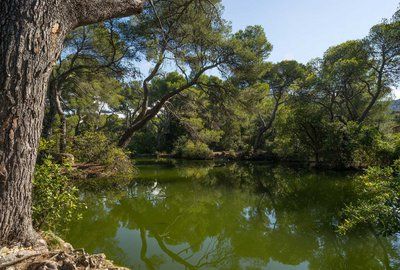 The Parc Pastré