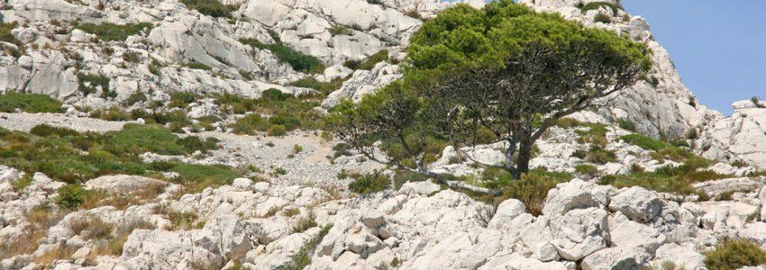 Calanque Marseilleveyre