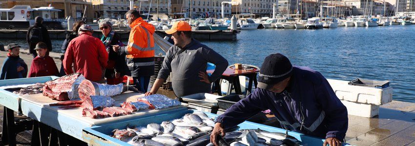 Top 15 Des Lieux Insolites Et Secrets De Marseille Zoom Sur Marseilletourisme Fr
