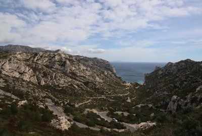 Nature Break